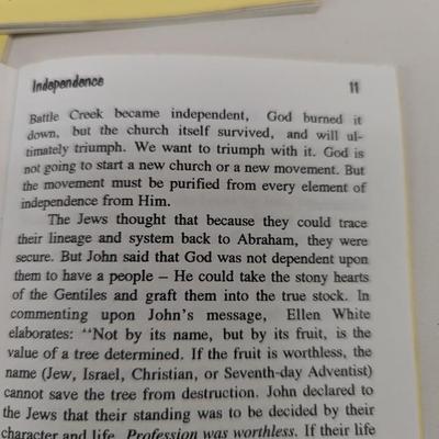 Sinful Independence? by Marshall Grosboll