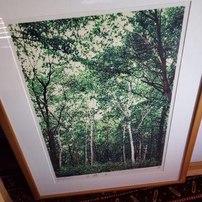 Japanese art of Aspens/Birch trees 