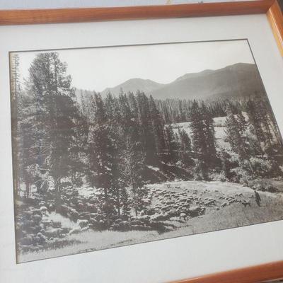 Vintage Photography of Colorado