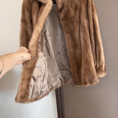 Enman’s of Asheville & Evans Fur Coats (LR-DZ)