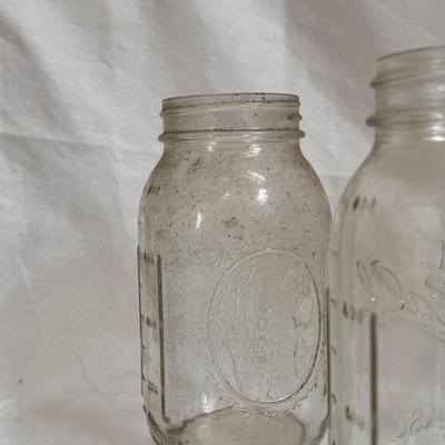 Mason Jars Galore (LR-DZ)