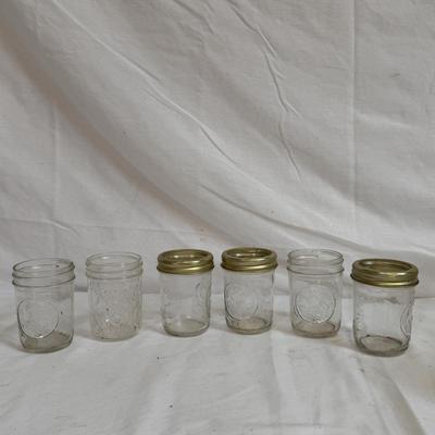 Mason Jars Galore (LR-DZ)