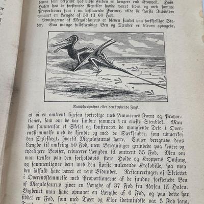 Antique Danish Jord Hav OG Himmel book