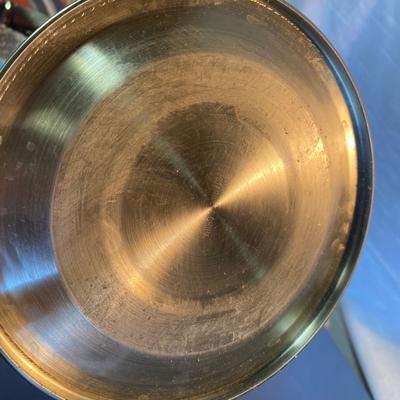 Stainless Teapot