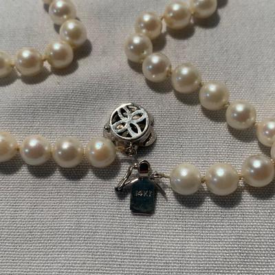 Pearl Collection (ST-HS)