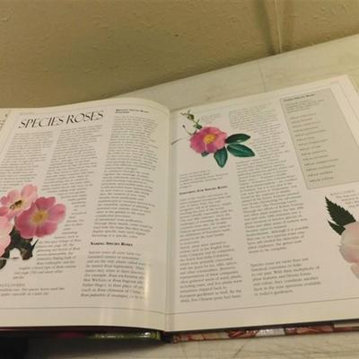 6337/250 Lot of 11 ~ 10 The American Rose Society Rose Post Cards Books / The Ultimate Rose Handbook