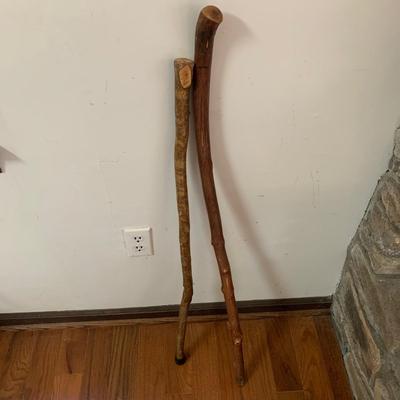 Collection of Canes & Walking Sticks with Ceramic Umbrella Stand (LR-HS)