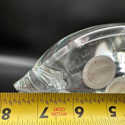 Blown Glass “Fish Bag”