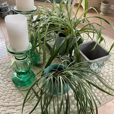 305 Green Glass Candlesticks With Plants & Pots