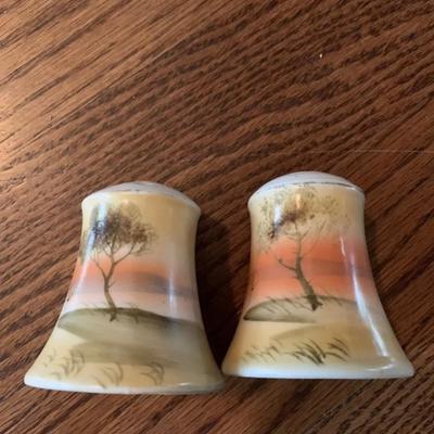 Rare Noritake salt & pepper shaker set