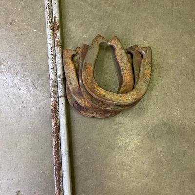 Double Ringer Horseshoe set