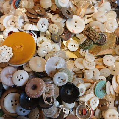 Antique Muriel Senators the light cigar metal container with an assortment of buttons