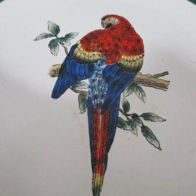 Vintage set of 4 oriental accent bird plates