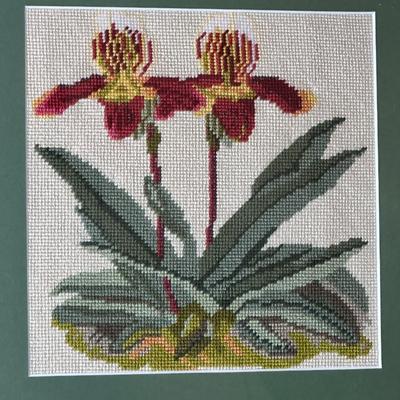 Framed Floral Embroidery