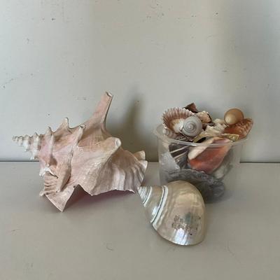 324 Shell Lot