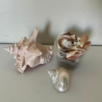 324 Shell Lot