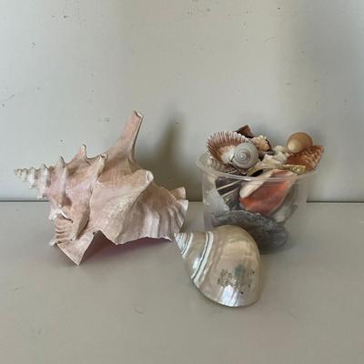 324 Shell Lot