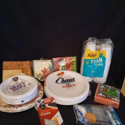 Paper kitchen products, Plates, napkins, cups and plastic silverware