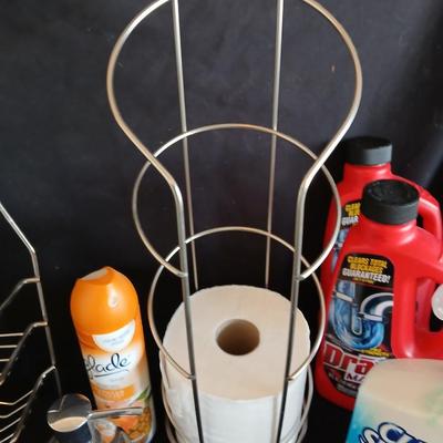 Bath organization - shower head organizer, toilet paper storage, and cleansing supplies, soap, shower and more