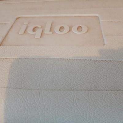 Igloo Maxcold Cooler with a light