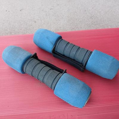 The step exercise with two hand weights and a duffle bag