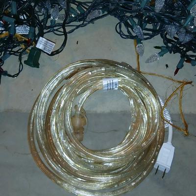 LED White lights - Multi color net lights - and a rope light for Christmas
