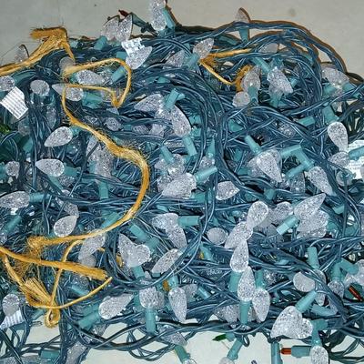 LED White lights - Multi color net lights - and a rope light for Christmas