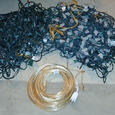 LED White lights - Multi color net lights - and a rope light for Christmas