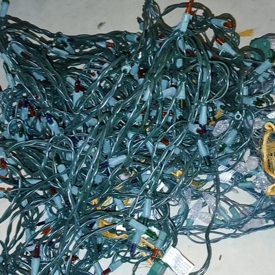 LED White lights - Multi color net lights - and a rope light for Christmas
