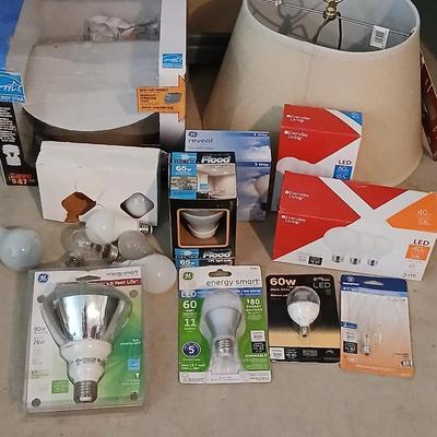 Light bulbs - Light fixture - new lamp shade