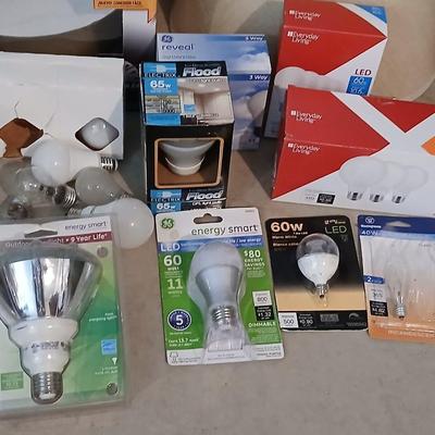 Light bulbs - Light fixture - new lamp shade