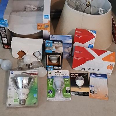 Light bulbs - Light fixture - new lamp shade
