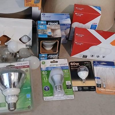 Light bulbs - Light fixture - new lamp shade