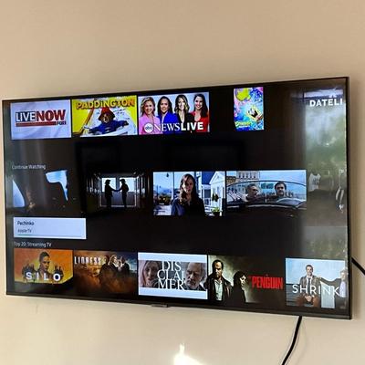143 Samsung Flatscreen 43" TV