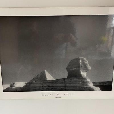 Framed Art of the Sphinx by Cynthia Mac Adams.