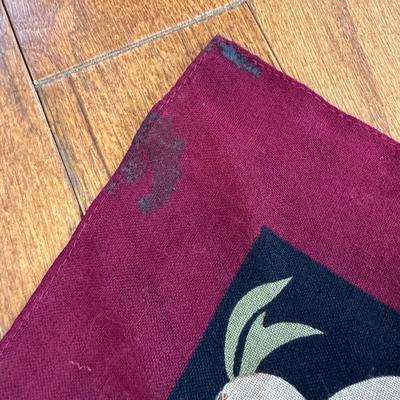 Pashmina, Silk and Other Scarves (PB-DZ)