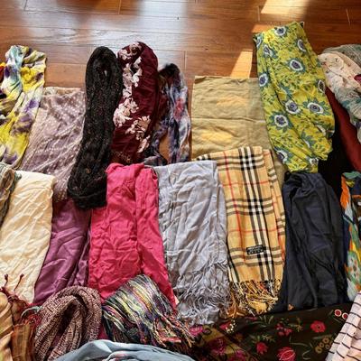 Pashmina, Silk and Other Scarves (PB-DZ)