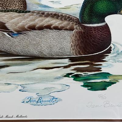 Signed & Framed Print by Tan Brunet