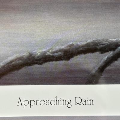 Signed & Numbered Print “Approaching Rain” by Larry K. Martin