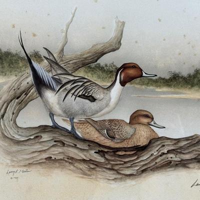 Signed & Numbered Print “Pintails at Water Edge” by Larry K.Martin