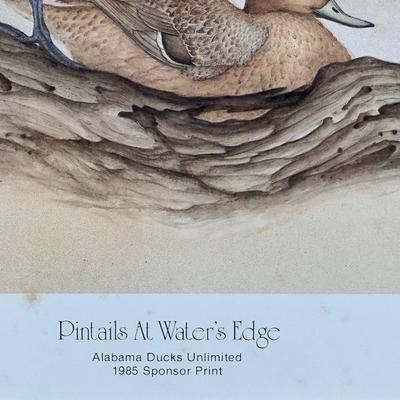Signed & Numbered Print “Pintails at Water Edge” by Larry K.Martin