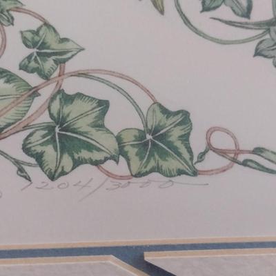 'The Language of Garden Flowers' by Susan Loy- Signed and Numbered