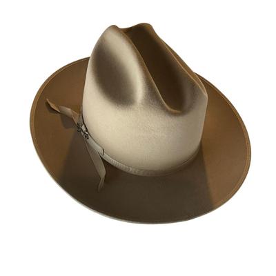 312 LIke New Stetson Hat