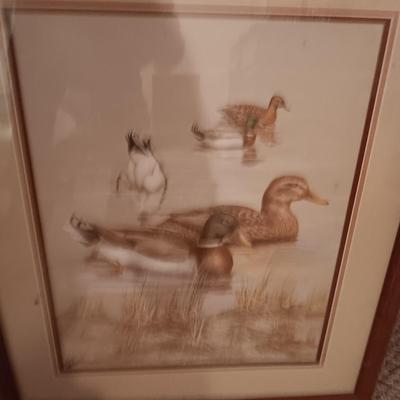 FRAMED PICTURES OF DUCKS