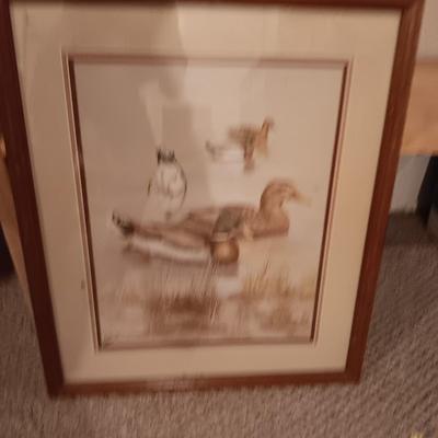 FRAMED PICTURES OF DUCKS