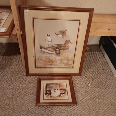 FRAMED PICTURES OF DUCKS