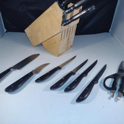 Assorted Cutlery with Wooden Block- Farberware and Chicago Cutlery
