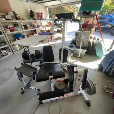 Weights 