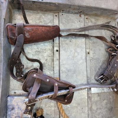 Antique but serviceable tree climbing gear
