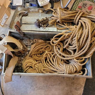 Antique but serviceable tree climbing gear